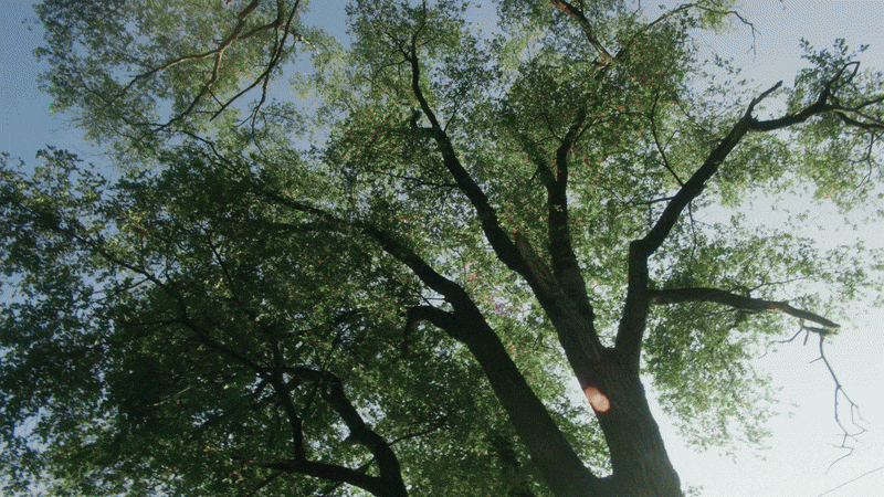 Henry Ford Health - Window into Tomorrow